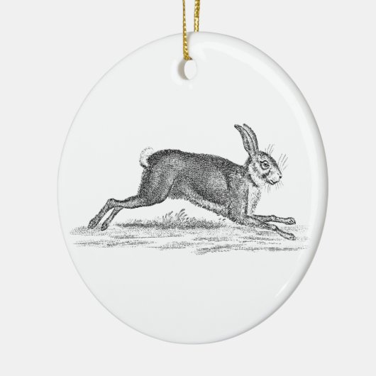  Hare Bunny Rabbit 1800s Illustratie Keramisch Ornament (Links)