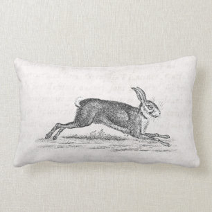  Hare Bunny Rabbit 1800s Illustratie Kussen