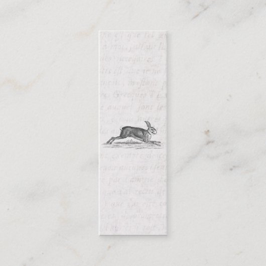 Hare Bunny Rabbit 1800s Illustratie Mini Visitekaartje (Voorkant)