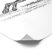 Hare Bunny Rabbit 1800s Illustratie Poster (Hoek)