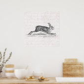 Hare Bunny Rabbit 1800s Illustratie Poster (Keuken)