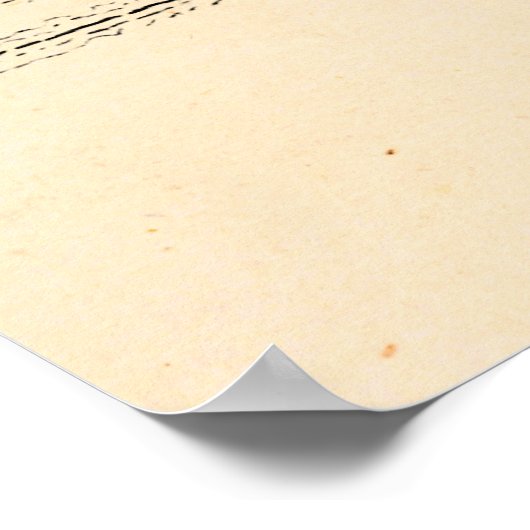  Hare Bunny Rabbit 1800s Illustratie Poster (Hoek)