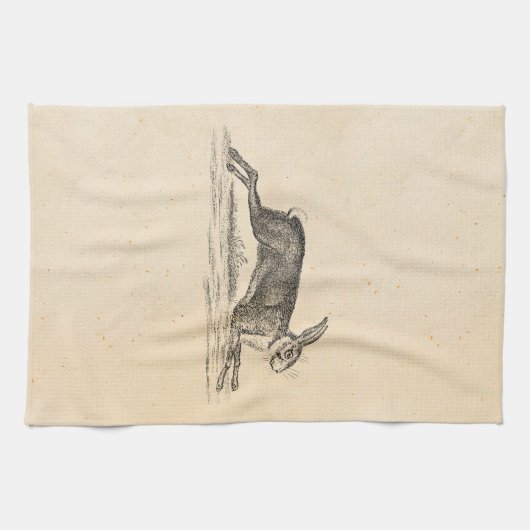  Hare Bunny Rabbit 1800s Illustratie Theedoek (Horizontaal)