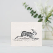  Hare Bunny Rabbit Illustratie - Konijnen Briefkaart (Staand voorkant)
