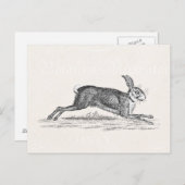  Hare Bunny Rabbit Illustratie - Konijnen Briefkaart (Voorkant / Achterkant)