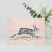  Hare Bunny Rabbit Illustratie - Rabbits (Staand voorkant)