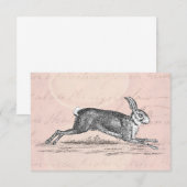  Hare Bunny Rabbit Illustratie - Rabbits (Voorkant / Achterkant)