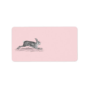  Hare Bunny Rabbit Illustratie - Rabbits Etiket