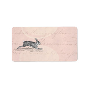  Hare Bunny Rabbit Illustratie - Rabbits Etiket