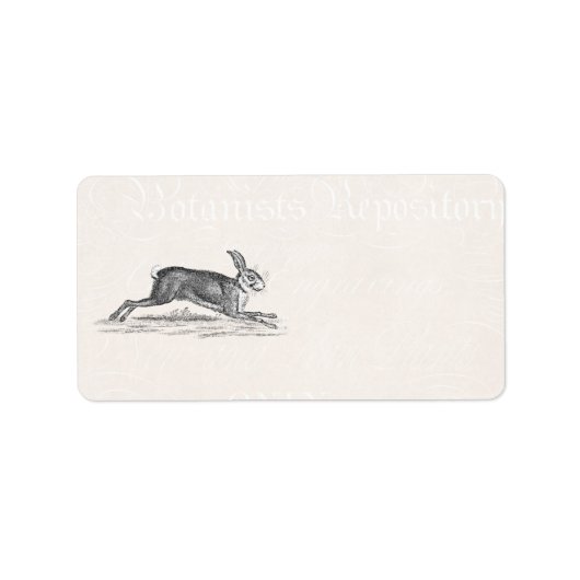 Hare Bunny Rabbit Illustratie - Rabbits Etiket (Voorkant)