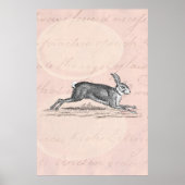  Hare Bunny Rabbit Illustratie - Rabbits Poster (Voorkant)