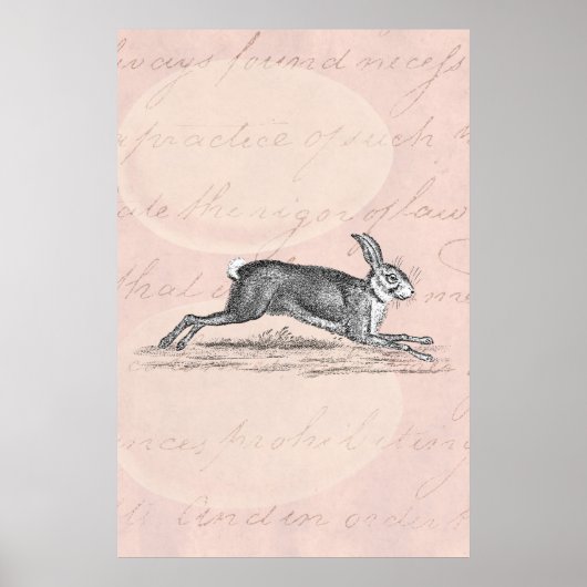  Hare Bunny Rabbit Illustratie - Rabbits Poster (Voorkant)