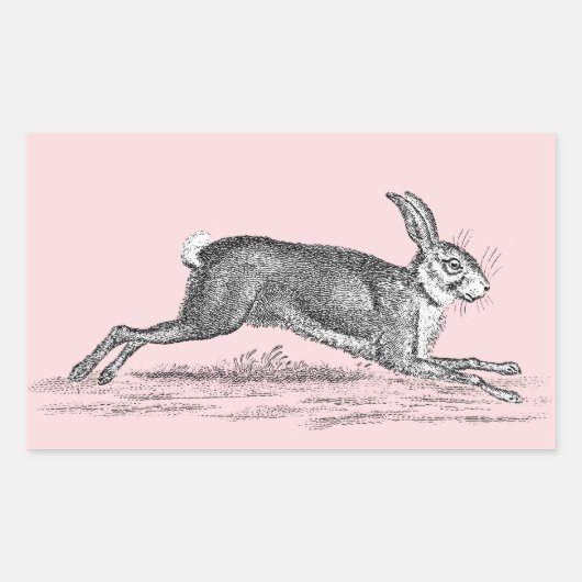 Hare Bunny Rabbit Illustratie - Rabbits Rechthoekige Sticker (Voorkant)