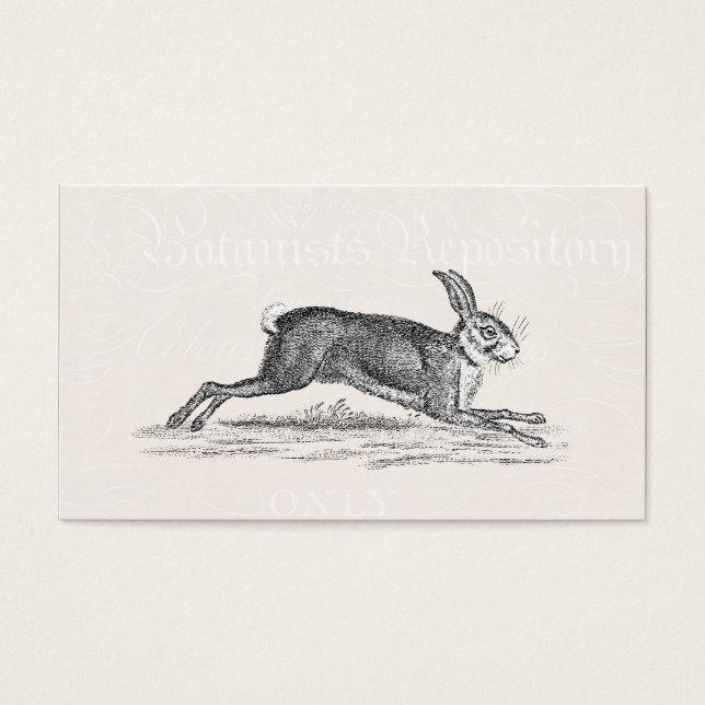  Hare Bunny Rabbit Illustratie - Rabbits Visitekaartje (Voorkant)
