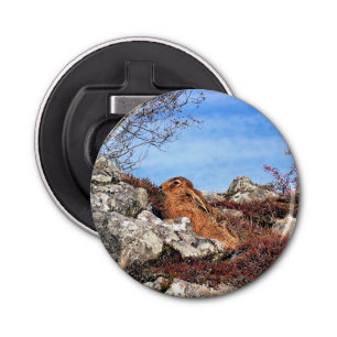 HARE BUTTON FLESOPENER