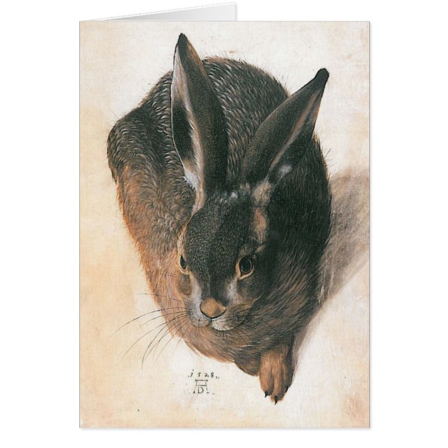 Hare by Albrecht Durer (Voorkant)