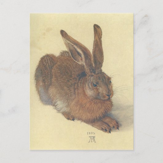 Hare by Albrecht Durer Briefkaart (Voorkant)