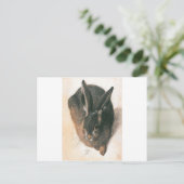 Hare by Albrecht Durer Briefkaart (Staand voorkant)