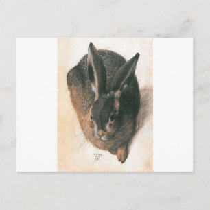 Hare by Albrecht Durer Briefkaart