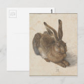 Hare by Albrecht Durer Briefkaart (Voorkant / Achterkant)