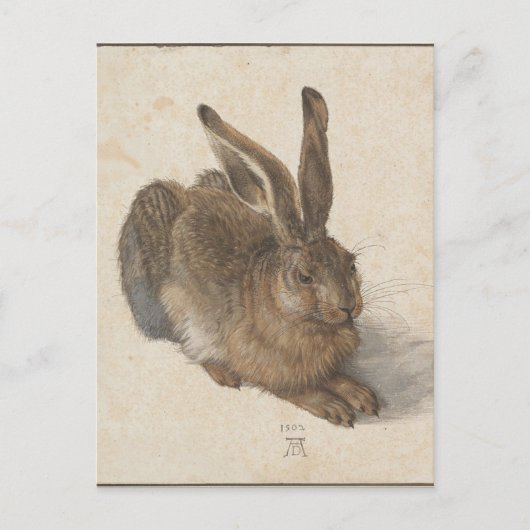 Hare by Albrecht Durer Briefkaart (Voorkant)