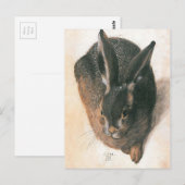 Hare by Albrecht Durer Briefkaart (Voorkant / Achterkant)