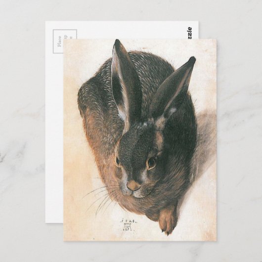 Hare by Albrecht Durer Briefkaart (Voorkant / Achterkant)
