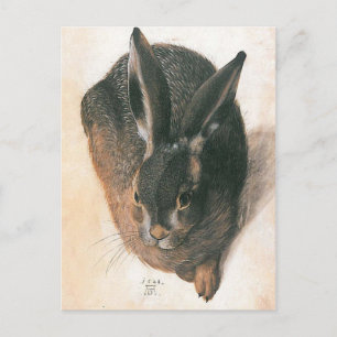 Hare by Albrecht Durer Briefkaart