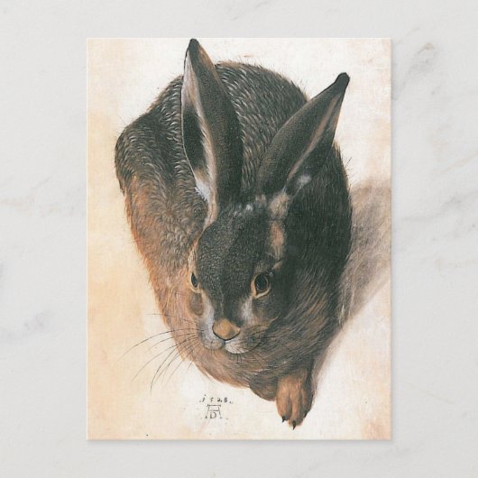 Hare by Albrecht Durer Briefkaart (Voorkant)