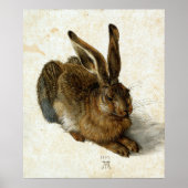 Hare by Albrecht Dürer Poster (Voorkant)