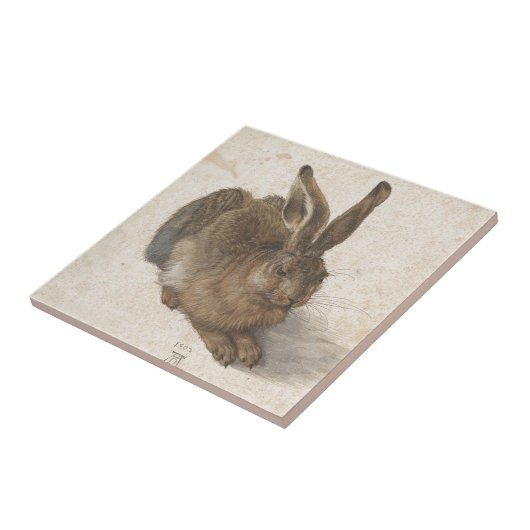 Hare by Albrecht Durer Tegeltje (Zijkant)