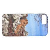 HARE Case-Mate iPhone CASE (Achterkant (Horizontaal))