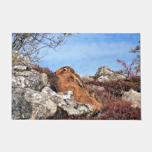 HARE DEURMAT (Voorkant)