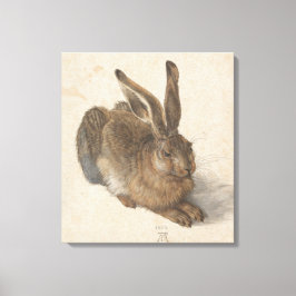 Hare (door Albrecht Dürer) Canvas Afdruk