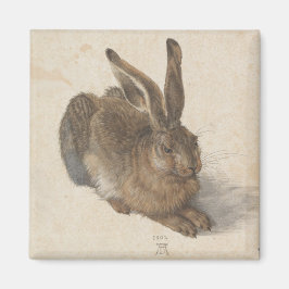 Hare (door Albrecht Dürer) Magneet