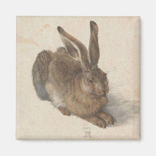 Hare (door Albrecht Dürer) Magneet (Voorkant)