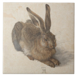 Hare (door Albrecht Dürer) Tegeltje