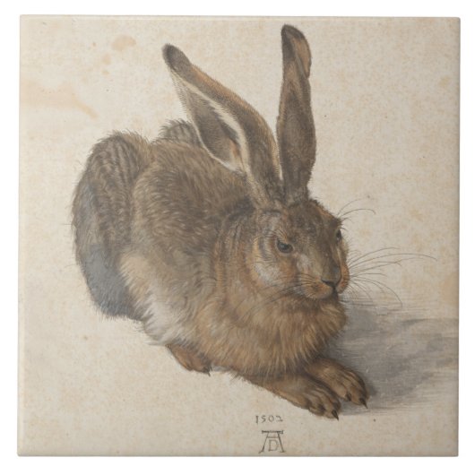Hare (door Albrecht Dürer) Tegeltje (Voorkant)