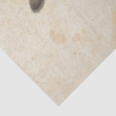 Hare (door Albrecht Dürer) Tissuepapier (Detail)