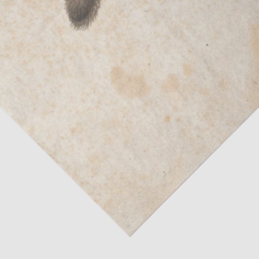 Hare (door Albrecht Dürer) Tissuepapier (Detail)