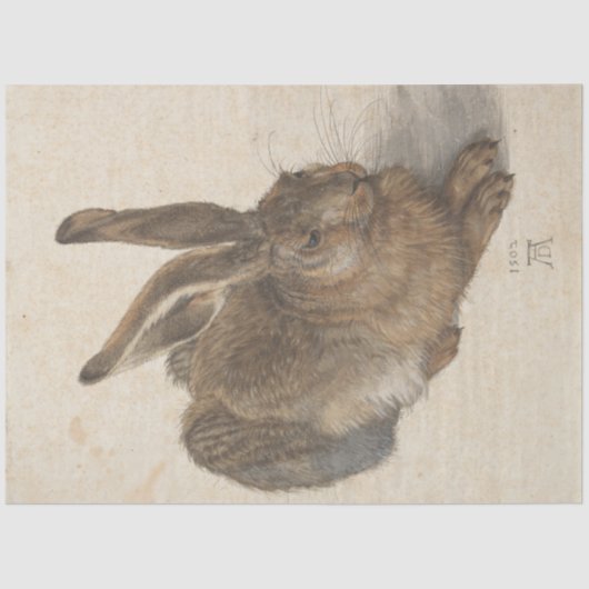 Hare (door Albrecht Dürer) Tissuepapier (Voorkant)