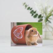 Hare in de Bloempot Briefkaart (Staand voorkant)