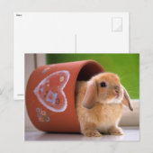 Hare in de Bloempot Briefkaart (Voorkant / Achterkant)