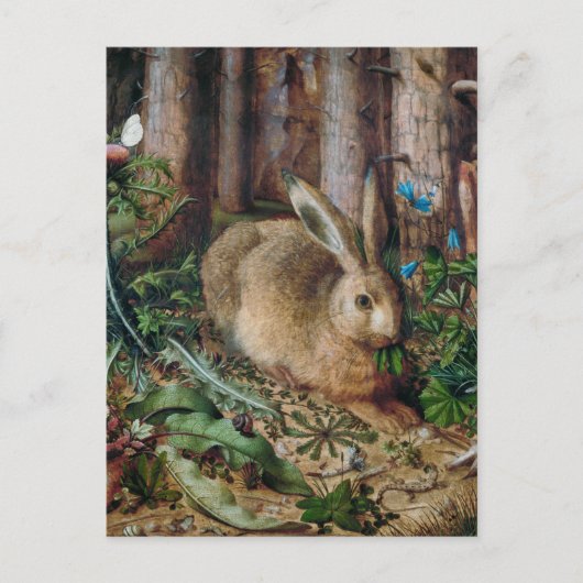 hare in het bos - Hans Hoffmann Briefkaart (Voorkant)