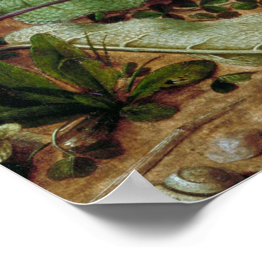  hare in het bos - Hans Hoffmann Poster (Hoek)