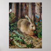  hare in het bos - Hans Hoffmann Poster (Voorkant)