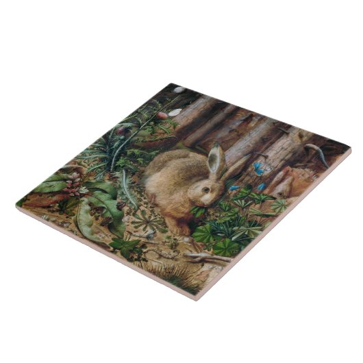  hare in het bos - Hans Hoffmann Tegeltje (Zijkant)