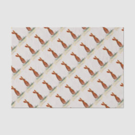 Hare in papies tissuepapier