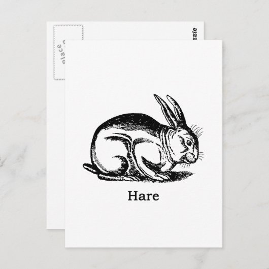Hare (konijn) briefkaart (Voorkant / Achterkant)