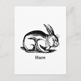 Hare (konijn) briefkaart